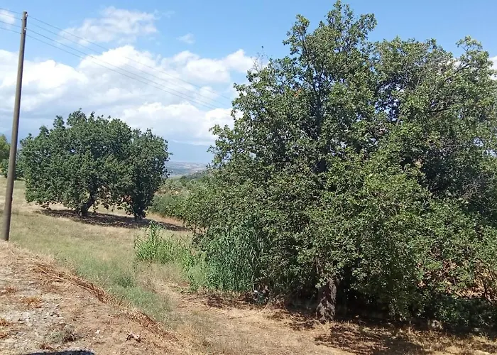 Di Emilia E Vincenzo * Roggiano Gravina